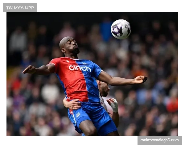 水晶宫纽卡斯尔未赛先伤 霍奇维埃拉均面临阵容残缺